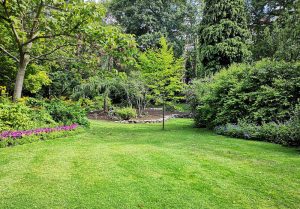 Optimiser l'expérience du jardin à Pernand-Vergelesses